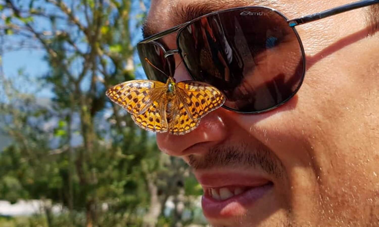 Schmetterling auf der Nase